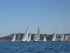 la solitaire 164